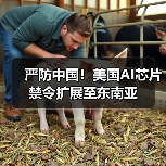 严防中国!美国AI芯片禁令扩展至东南亚(图2) 严防中国!美国AI芯片禁令扩展至东南亚(图2)