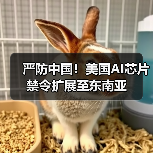 严防中国!美国AI芯片禁令扩展至东南亚(图3) 严防中国!美国AI芯片禁令扩展至东南亚(图3)