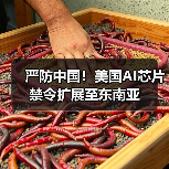 严防中国!美国AI芯片禁令扩展至东南亚(图4) 严防中国!美国AI芯片禁令扩展至东南亚(图4)