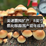 英诺赛科扩产:8英寸氮化镓晶圆产能年底将达到每月20000片(图3) 英诺赛科扩产:8英寸氮化镓晶圆产能年底将达到每月20000片(图3)