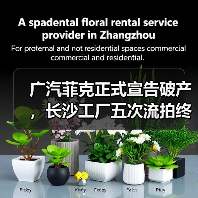 广汽菲克正式宣告破产,长沙工厂五次流拍终成历史(图2) 广汽菲克正式宣告破产,长沙工厂五次流拍终成历史(图2)