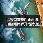 诺思微发布严正声明,指控经纬辉开增持违法(图1) 诺思微发布严正声明,指控经纬辉开增持违法(图1)