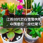 江苏时代芯存重整失败,中国最后一座烂尾12英寸厂“死亡”(图3) 江苏时代芯存重整失败,中国最后一座烂尾12英寸厂“死亡”(图3)