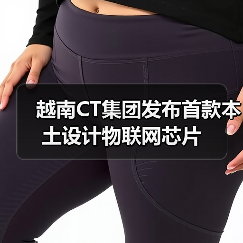 越南CT集团发布首款本土设计物联网芯片(图2) 越南CT集团发布首款本土设计物联网芯片(图2)