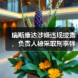 瑞斯康达涉嫌违规披露,负责人被采取刑事强制措施(图4) 瑞斯康达涉嫌违规披露,负责人被采取刑事强制措施(图4)