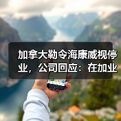 加拿大勒令海康威视停业,公司回应:在加业务微不足道(图4) 加拿大勒令海康威视停业,公司回应:在加业务微不足道(图4)
