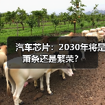 汽车芯片:2030年将是萧条还是繁荣?(图2) 汽车芯片:2030年将是萧条还是繁荣?(图2)