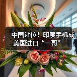 中国让位!印度手机成美国进口“一哥”(图1) 中国让位!印度手机成美国进口“一哥”(图1)
