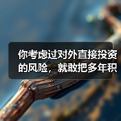你考虑过对外直接投资的风险,就敢把多年积蓄砸进陌生国度吗?(图2) 你考虑过对外直接投资的风险,就敢把多年积蓄砸进陌生国度吗?(图2)
